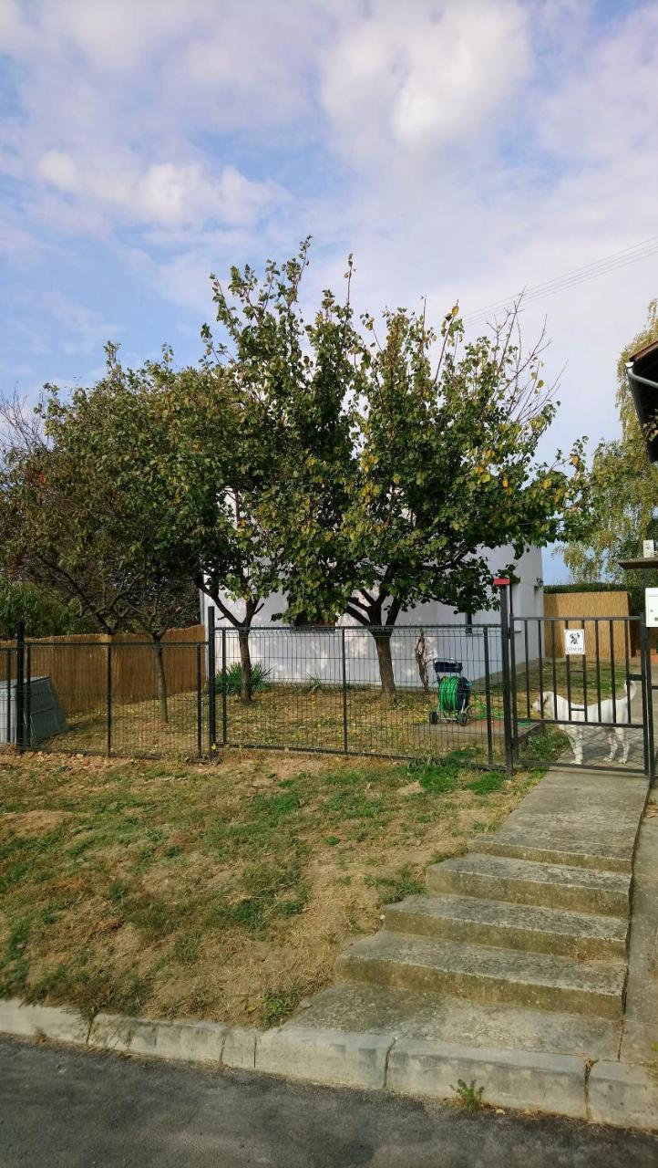 Studio Apartman Kotro Beli Manastir Dış mekan fotoğraf